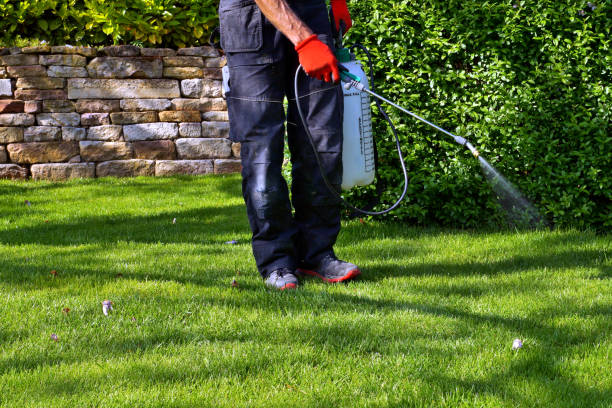 Pest Control for Hotels in Lake Villa, IL